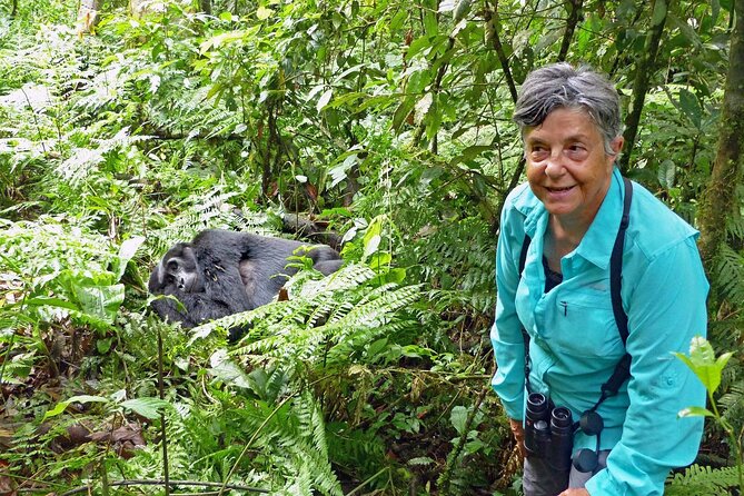 Five Day Highlights of Rwanda Tour - Day 3: Chimpanzee Tracking