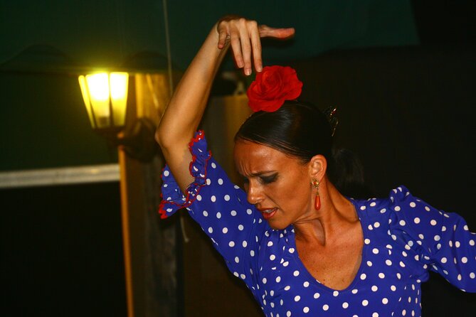 Flamenco and Grill Evening on the Banks of Lake Guadalmina - Accessibility Information