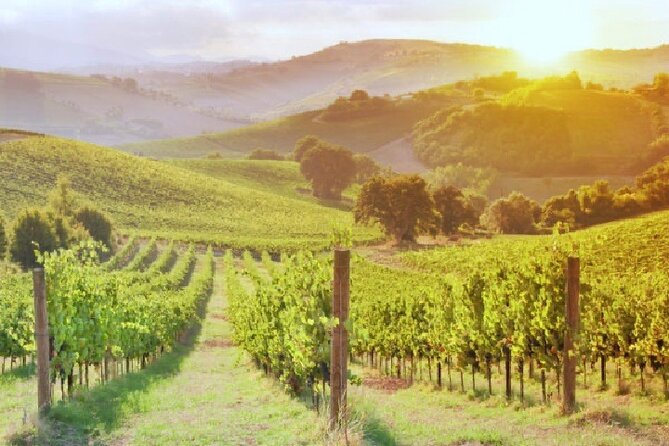 Florence & Pisa Shore Excursion With Chianti Wine Tasting - Inclusions and Exclusions