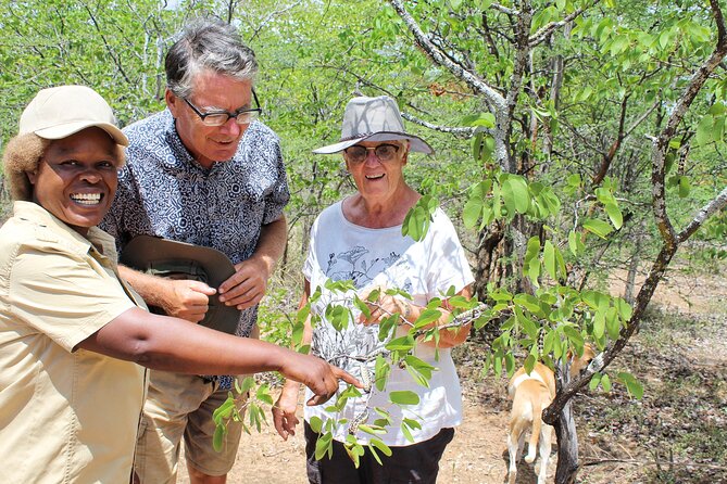 Foraging in Tswapong Forest Near Palapye - Location and Overview