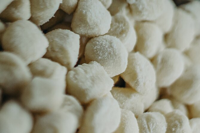 Fresh Pasta Gnocchi and Ravioli in Naples - Sample Menu Highlights