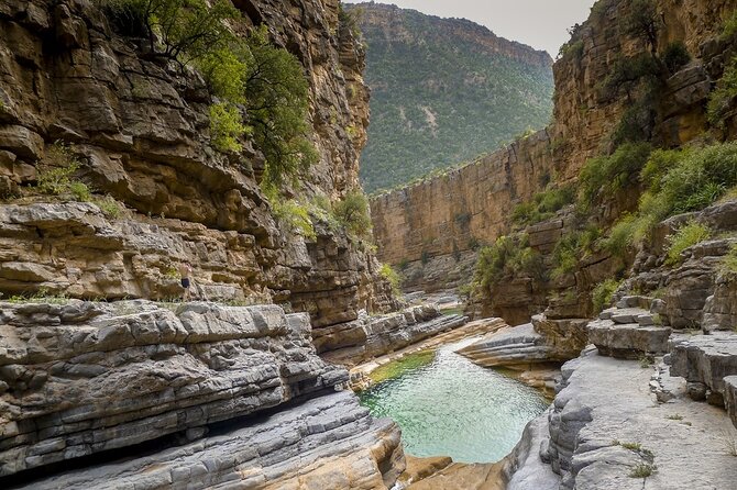 From Agadir/Taghazoute to Paradise Valley 1/2 Day