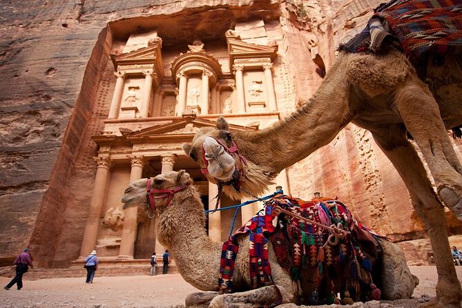 From Aqaba a Day Excursion to Petra - Customer Reviews
