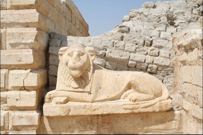From Cairo to Whales Valley and Wadi El Rayan Waterfalls