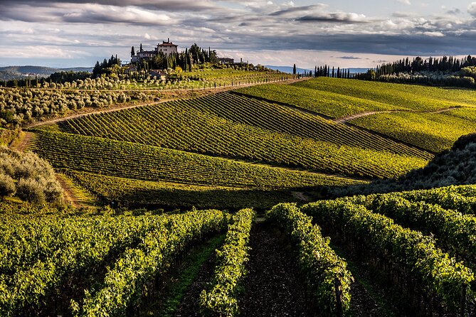 From Florence. Private Short Chianti Day With Winery Visit and Lunch - Inclusions