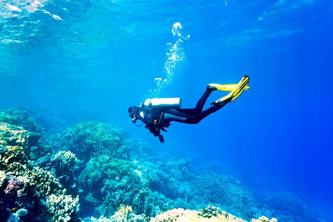 From Hurghada: Beginners Scuba Diving Boat Tour, Lunch & Transfer - Tour Details