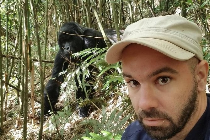 From Kigali: 2-Day Rwanda Gorilla Trekking Experience - Transportation Details