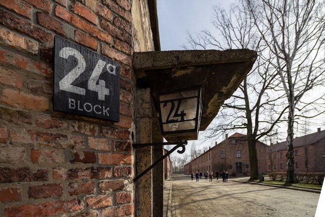 From Krakow: Auschwitz-Birkenau Full-Day Tour - Tour Details