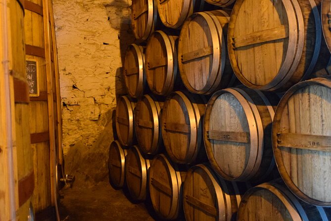 From Porto Visit the Winery in the Douro Valley With Pickup at the Hotel