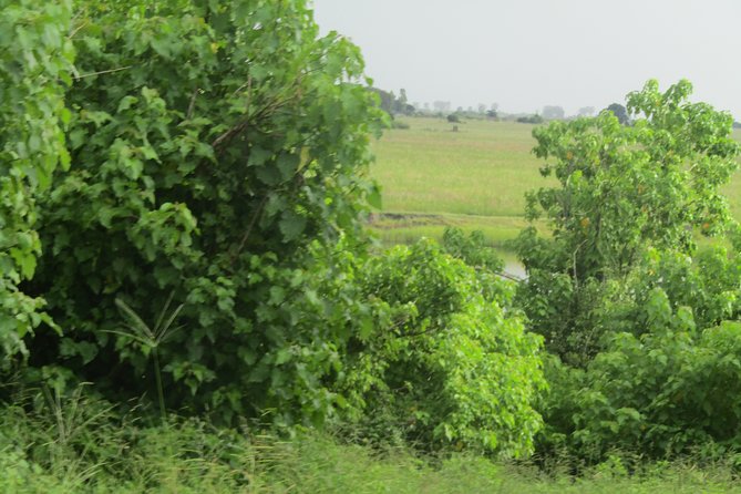 From Victoria Falls: 4 Days 3 Nights- Chobe Camping Safaris - Cancellation Policy