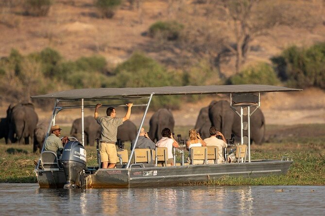 From Victoria Falls: a Full Day Chobe Safari With Lunch