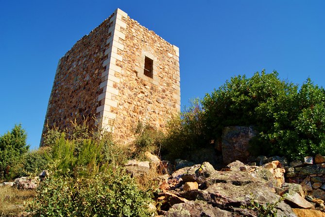 Full-Day Bird Watching Private Tour From Lisbon With Lunch - Tour Inclusions