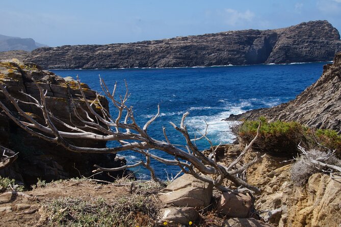 Full-Day Boat Guided Trip to Asinara With Van Pickup and Lunch - Trip Experience