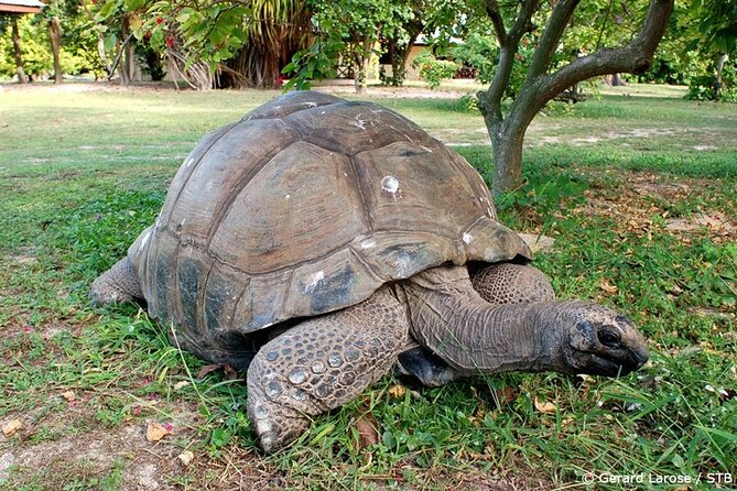Full Day Excursion of Cousin, Curieuse and St Pierre Islands From Praslin Island - Important Information