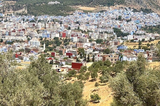 Full-Day Guided Tour From Fez to Chefchaouen - Transportation and Guides