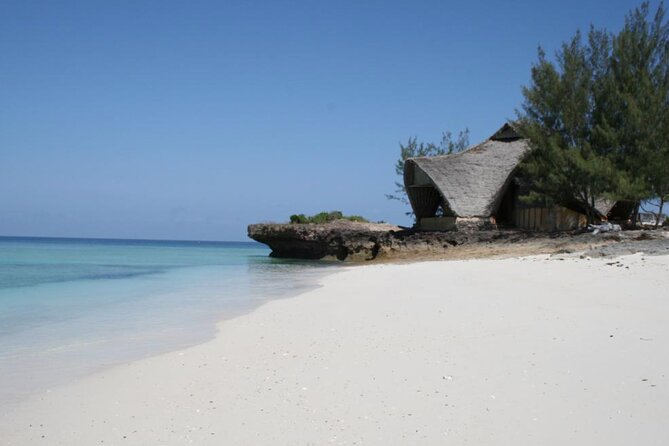 Full Day in the Protected Chumbe Island - Guided Exploration of the Forest Reserve