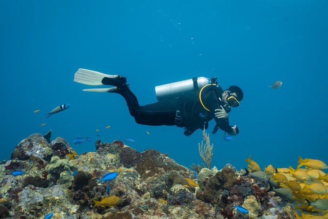 Full Day Intro Diving for Beginners With Lunch - Marsa Alam - Pickup Details