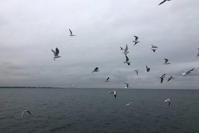 Full Day Istanbul Bosphorus Cruise and Dolmabahce Palace Tour - Tour Highlights