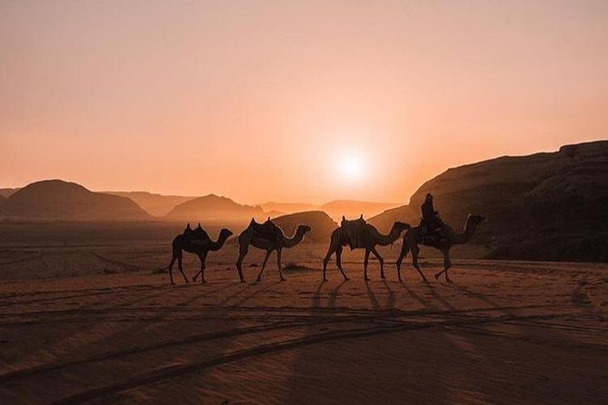 Full Day Jeep Tour With Overnight in Beduin Camp Stay! (All Meals Included) - Whats Included