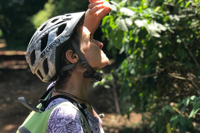 Full-Day Monkey Forest Cycling Adventure From Moshi