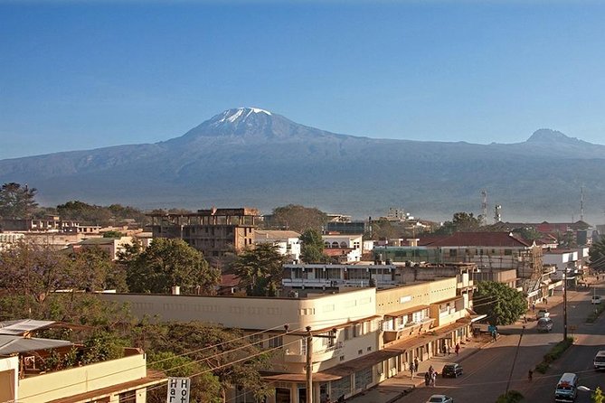 Full-Day Moshi Private Forest Walk and Local Market Tour - What To Expect