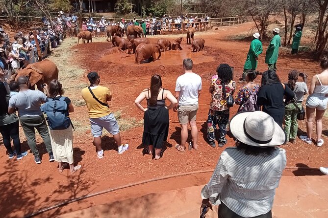 Full-Day Nairobi Circuit Private and Guided Tour - Tour Details