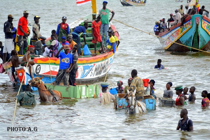 Full-Day PINK LAKE and FISHING VILLAGE Combination - Inclusions and Exclusions