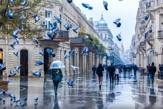 Full-day Private Baku City Tour - Additional Info