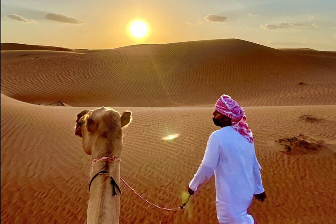 Full Day Private Desert Adventure - What To Expect