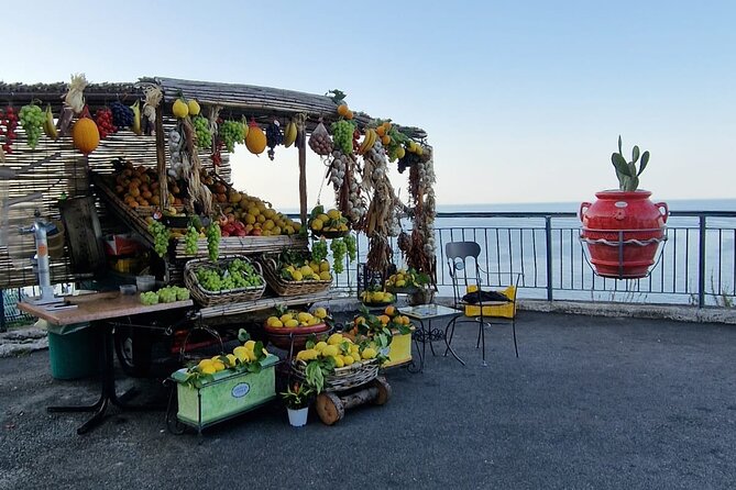 Full-day Private Guided Tour in the Amalfi Coast - Pricing Information