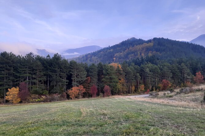 Full-Day Private Hike in Foreste Casentinesi National Park - The Sum Up