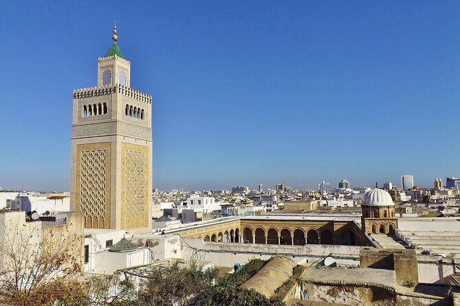 Full Day Private Shore Tour in Tunis From La Goulette Cruise Port - Meeting Point Details