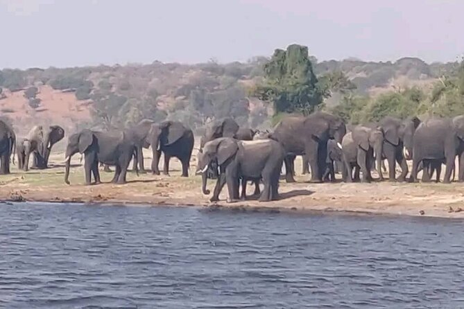 Full Day Private Tour in Chobe - Inclusions