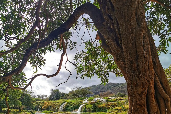 Full Day Private Tour in Dhofar Mountains and Beaches - Tour Inclusions