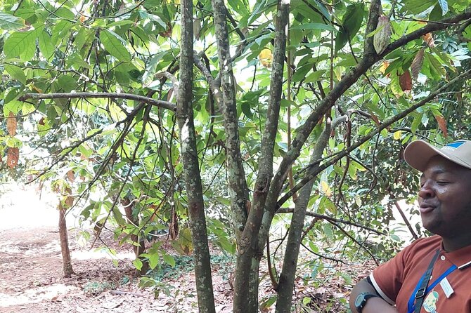 Full Day Private Tour in Stone Town+Prison Island and Spice Farm - Customer Reviews