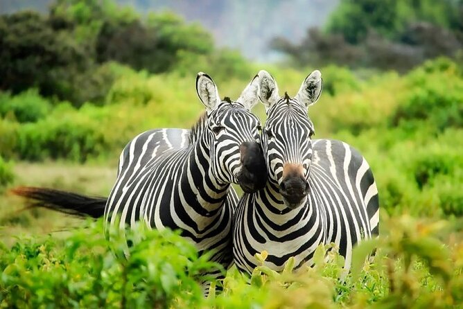 Full Day Private Tour to Hells Gate National Park From Nairobi. - Price and Booking