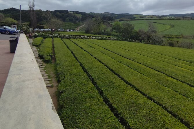Full Day Private Tour to Lagoa Do Fogo and Furnas - Transportation Logistics