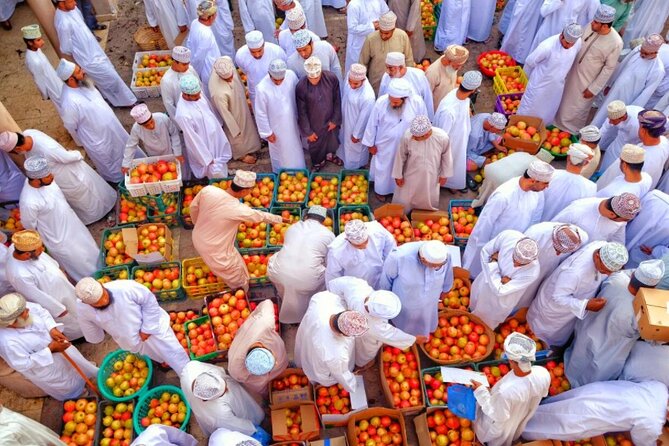 Full Day Private Tour to Nizwa and Jebel Shams From Muscat - Customer Reviews
