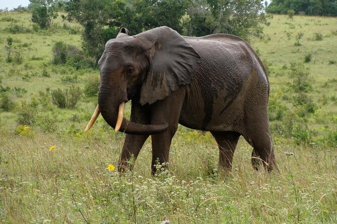 Full Day Private Tour to Shimba Hills From Diani Beach - Location and Meeting Point