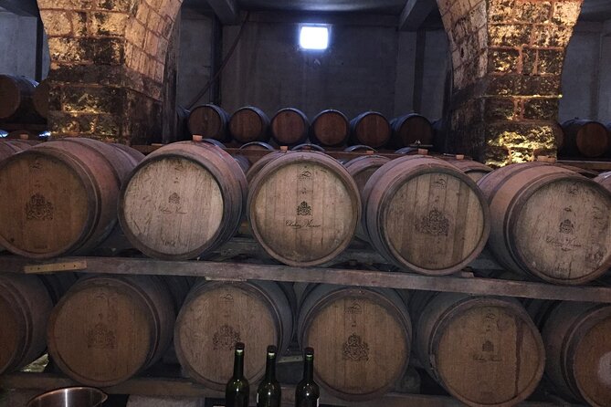 Full-Day Private Wine Tasting Tour to Chateau Musar and Ixsir Winery - Chateau Musar Visit