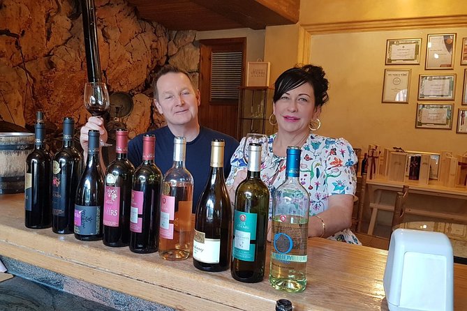 Full-Day Private Wine Tasting Tour - Wine Tasting Experience
