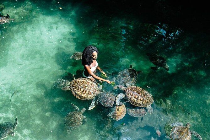 Full Day Private Zanzibar Tour With Sunset Beach - Tour Highlights