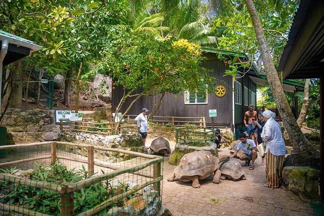 2 Best Safari Tours In Seychelles