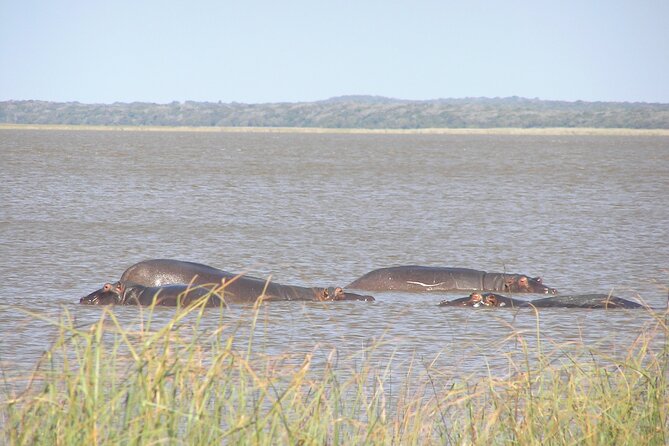 9 Best Safari Tours In Maputo