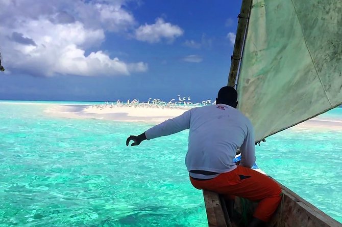 Full Day Sandbank Picnic in Pemba Island