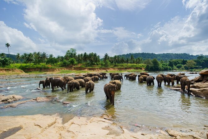 Full Day Serenity Adventure in Tarangire National Park - Meeting and Pickup Information