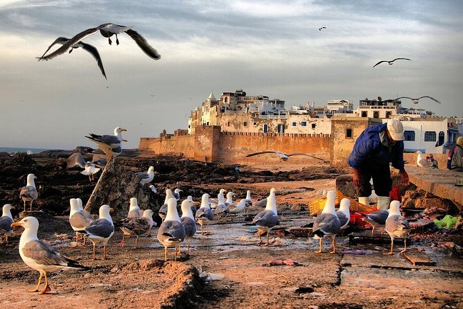 Full-Day Shared Tour in Essaouira From Marrakech With Pickup - Pickup Details
