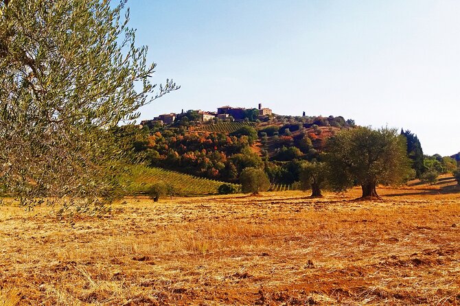 Full-Day Small-Group Tour in Montepulciano - Tour Overview