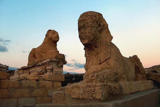 Full-Day Tour From Cairo to AL Fayoum - Transportation Details