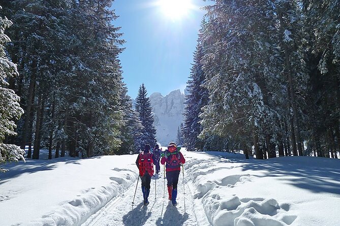 Full Day Tour in Dolomites From Venice
